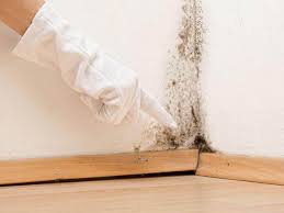 Mold Removal for HVAC Installations